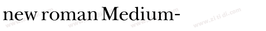 new roman Medium字体转换